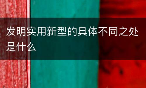 发明实用新型的具体不同之处是什么