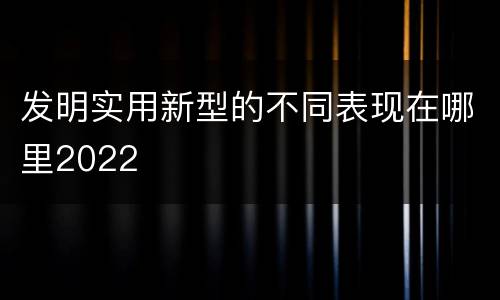 发明实用新型的不同表现在哪里2022