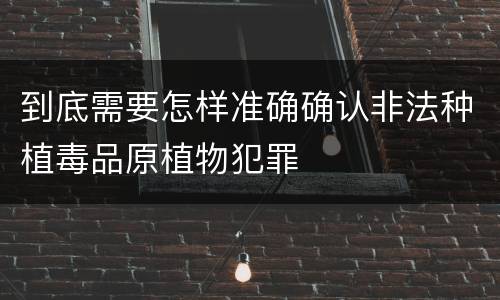 到底需要怎样准确确认非法种植毒品原植物犯罪