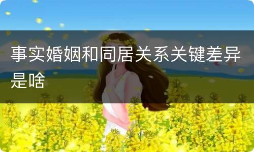 事实婚姻和同居关系关键差异是啥