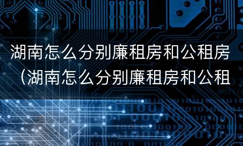 湖南怎么分别廉租房和公租房（湖南怎么分别廉租房和公租房呢）