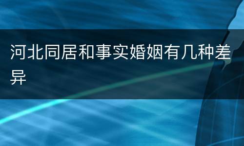 河北同居和事实婚姻有几种差异