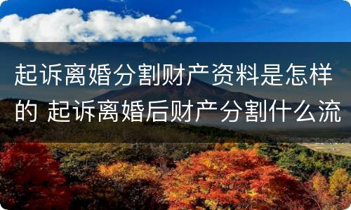 起诉离婚分割财产资料是怎样的 起诉离婚后财产分割什么流程
