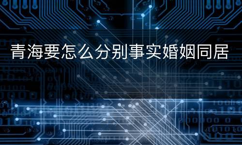 青海要怎么分别事实婚姻同居