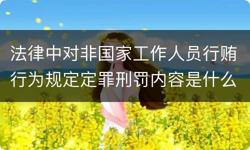 法律中对非国家工作人员行贿行为规定定罪刑罚内容是什么