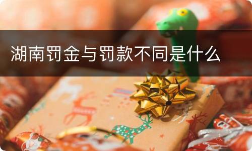 湖南罚金与罚款不同是什么