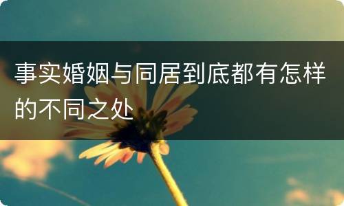 事实婚姻与同居到底都有怎样的不同之处