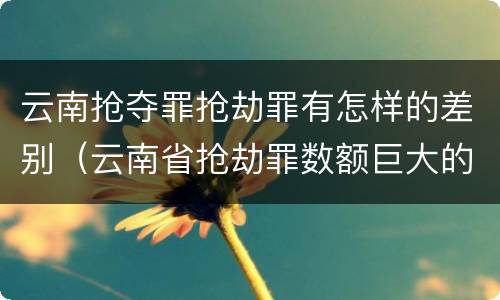 云南抢夺罪抢劫罪有怎样的差别（云南省抢劫罪数额巨大的标准）