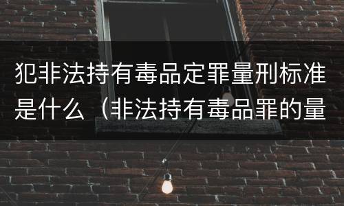 犯非法持有毒品定罪量刑标准是什么（非法持有毒品罪的量刑标准）