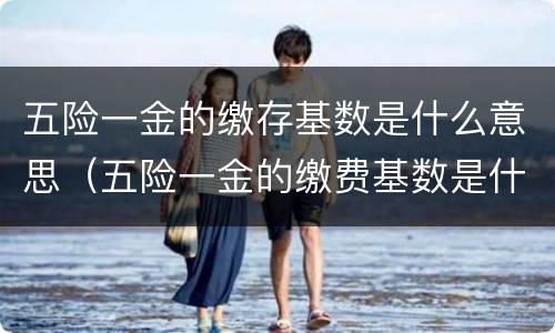 五险一金的缴存基数是什么意思（五险一金的缴费基数是什么意思,该怎么算）