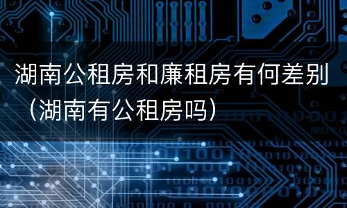 湖南公租房和廉租房有何差别（湖南有公租房吗）