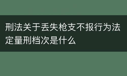 刑法关于丢失枪支不报行为法定量刑档次是什么
