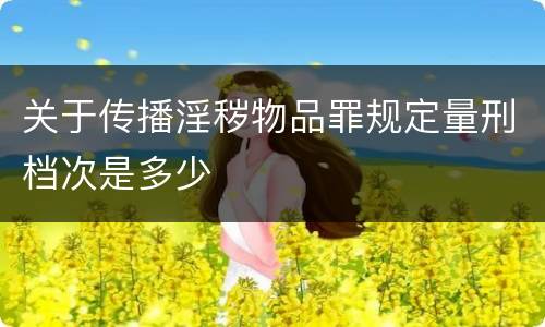 关于传播淫秽物品罪规定量刑档次是多少