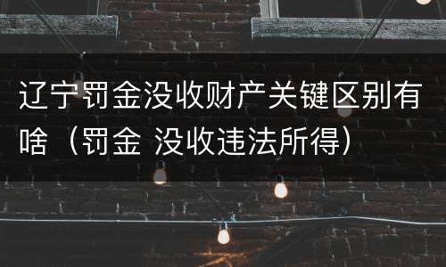 辽宁罚金没收财产关键区别有啥（罚金 没收违法所得）