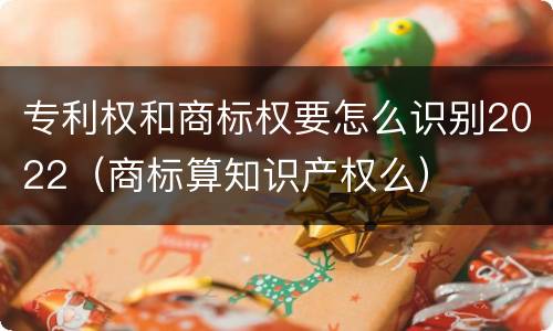 专利权和商标权要怎么识别2022（商标算知识产权么）