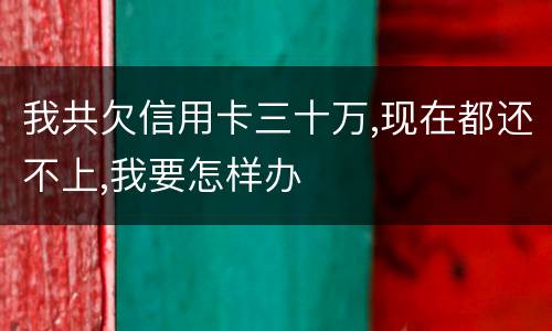 我共欠信用卡三十万,现在都还不上,我要怎样办