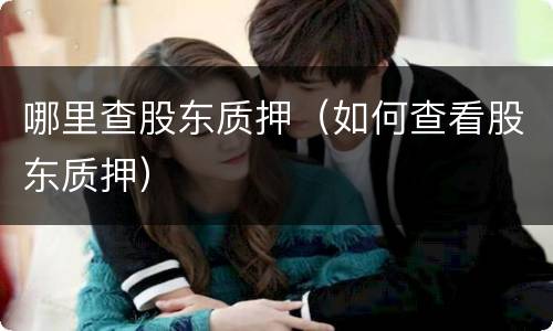 哪里查股东质押（如何查看股东质押）