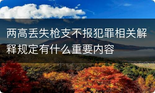 两高丢失枪支不报犯罪相关解释规定有什么重要内容