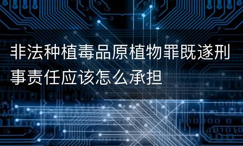 非法种植毒品原植物罪既遂刑事责任应该怎么承担
