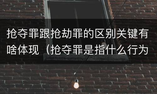 抢夺罪跟抢劫罪的区别关键有啥体现（抢夺罪是指什么行为）