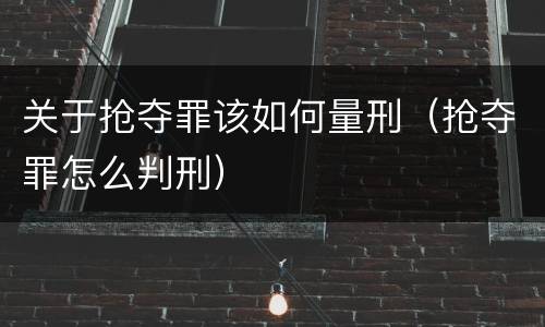 关于抢夺罪该如何量刑（抢夺罪怎么判刑）