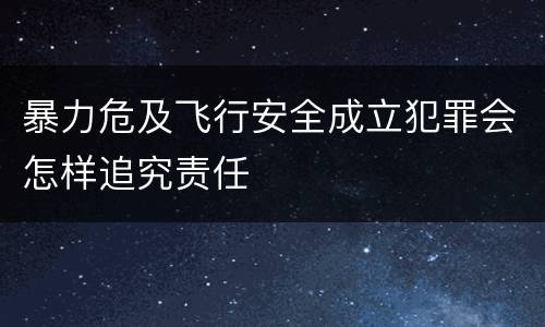 暴力危及飞行安全成立犯罪会怎样追究责任