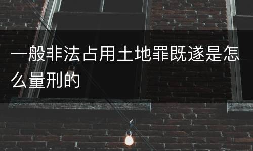 一般非法占用土地罪既遂是怎么量刑的