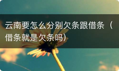 云南要怎么分别欠条跟借条（借条就是欠条吗）