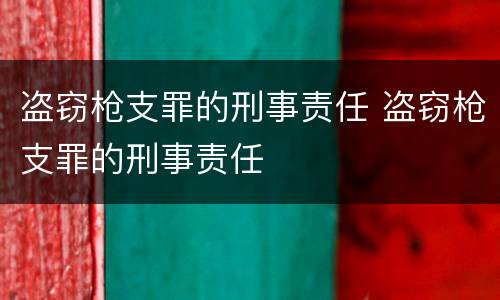 盗窃枪支罪的刑事责任 盗窃枪支罪的刑事责任