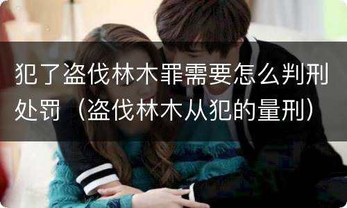 犯了盗伐林木罪需要怎么判刑处罚（盗伐林木从犯的量刑）