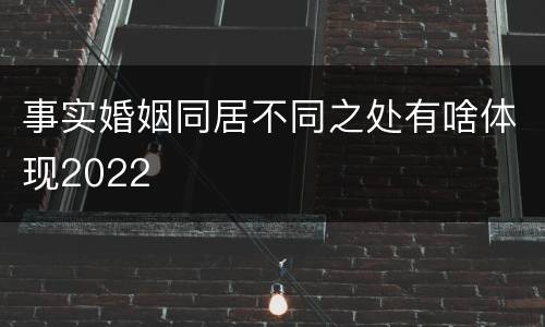 事实婚姻同居不同之处有啥体现2022