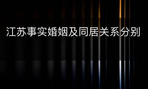 江苏事实婚姻及同居关系分别