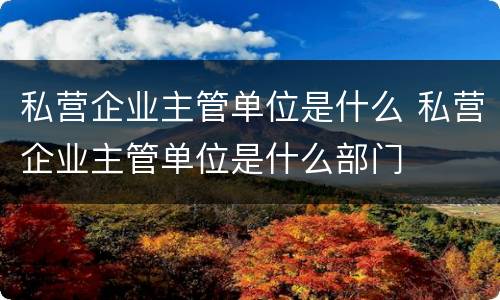 私营企业主管单位是什么 私营企业主管单位是什么部门