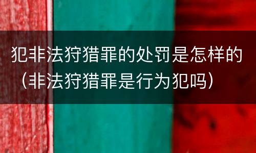 犯非法狩猎罪的处罚是怎样的（非法狩猎罪是行为犯吗）