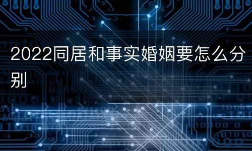 2022同居和事实婚姻要怎么分别