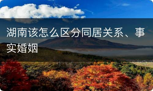 湖南该怎么区分同居关系、事实婚姻