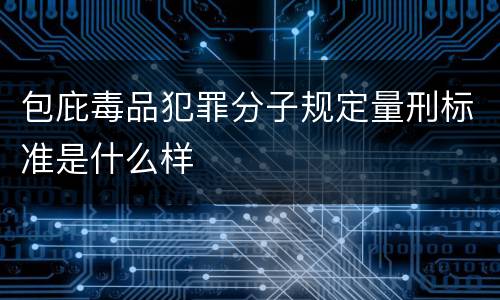 包庇毒品犯罪分子规定量刑标准是什么样