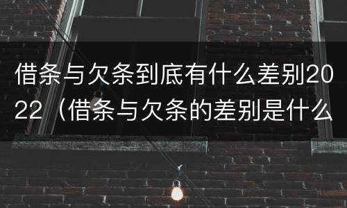 借条与欠条到底有什么差别2022（借条与欠条的差别是什么）