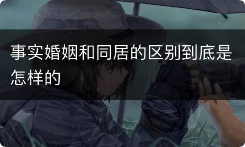 事实婚姻和同居的区别到底是怎样的