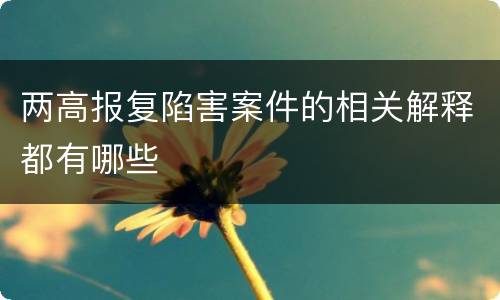 两高报复陷害案件的相关解释都有哪些