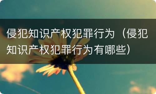 侵犯知识产权犯罪行为（侵犯知识产权犯罪行为有哪些）