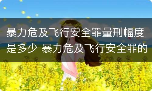 暴力危及飞行安全罪量刑幅度是多少 暴力危及飞行安全罪的构成要件