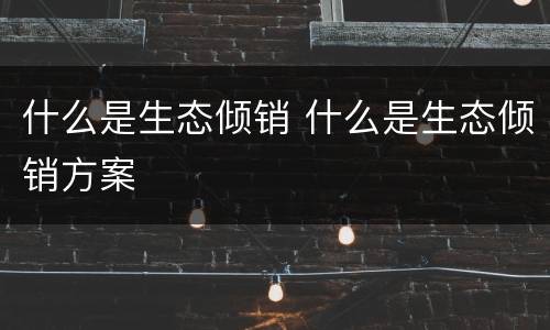 什么是生态倾销 什么是生态倾销方案