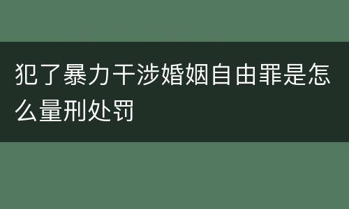犯了暴力干涉婚姻自由罪是怎么量刑处罚