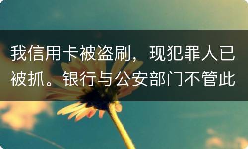 我信用卡被盗刷，现犯罪人已被抓。银行与公安部门不管此事。我如何能取回款项呢项呢