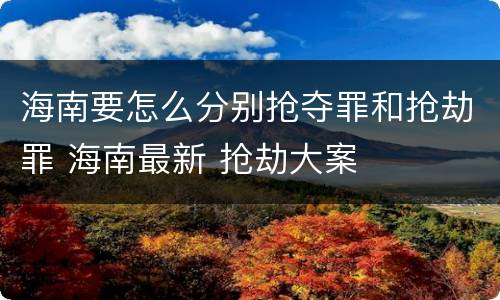海南要怎么分别抢夺罪和抢劫罪 海南最新 抢劫大案