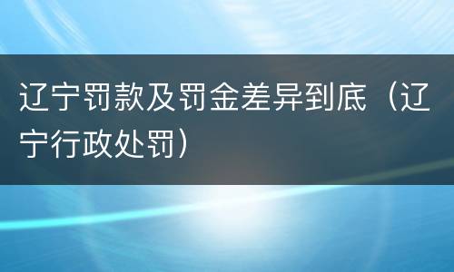 辽宁罚款及罚金差异到底（辽宁行政处罚）