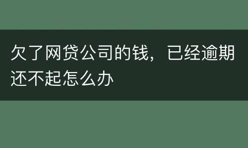 欠了网贷公司的钱，已经逾期还不起怎么办