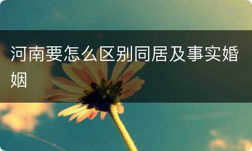 河南要怎么区别同居及事实婚姻