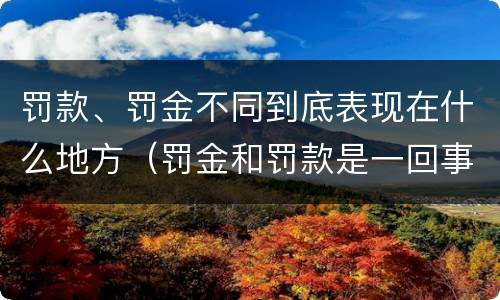 罚款、罚金不同到底表现在什么地方（罚金和罚款是一回事吗）